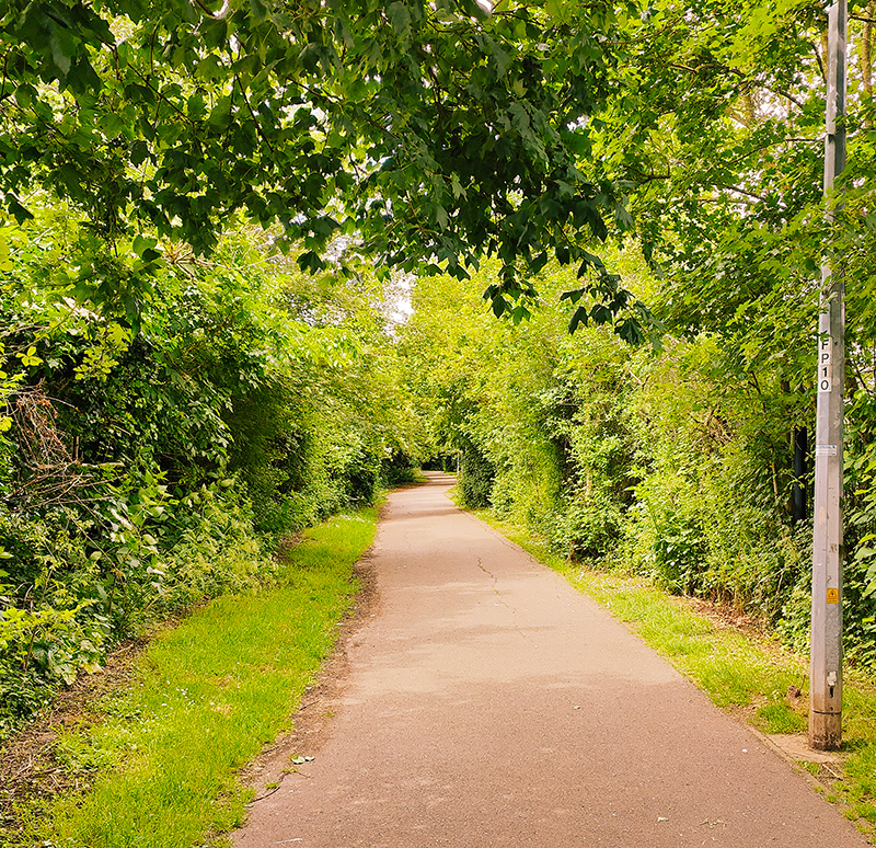 The path I walk each day